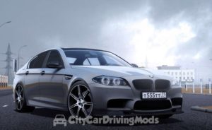 Read more about the article BMW M5 F10