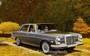 Read more about the article Mercedes-Benz 300SEL