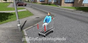 Read more about the article Shopping Cart (Trolley)